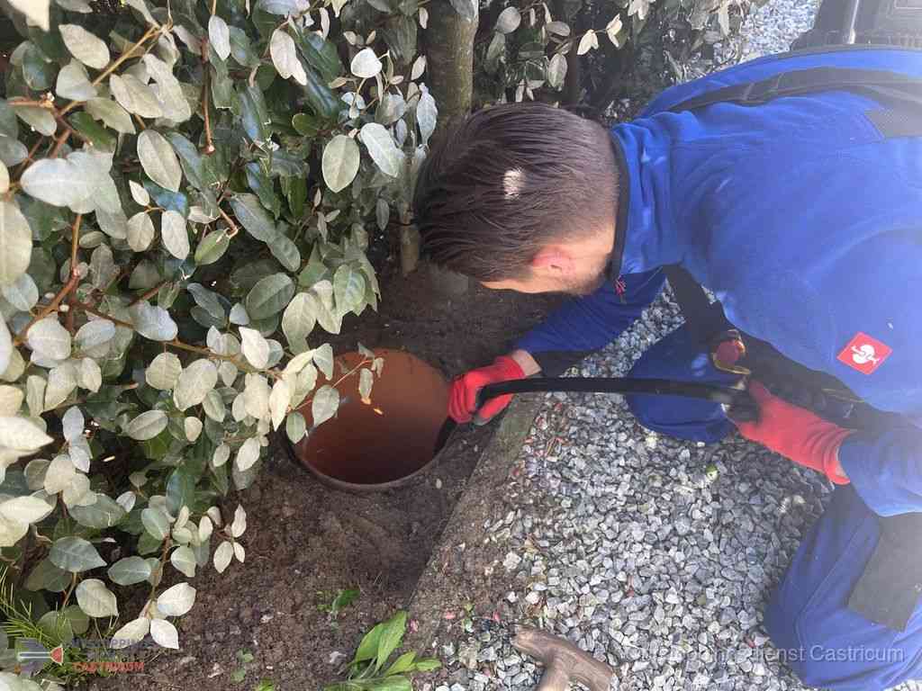 Rioolvliegjes Castricum Rioolvliegjes Castricum